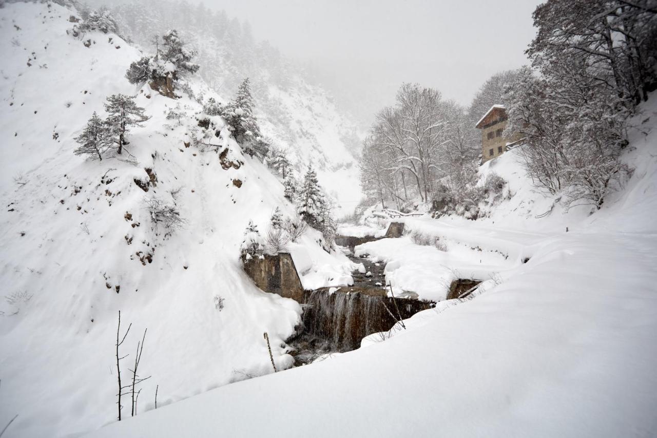 Casa Cadore Lozzo Cadore Εξωτερικό φωτογραφία